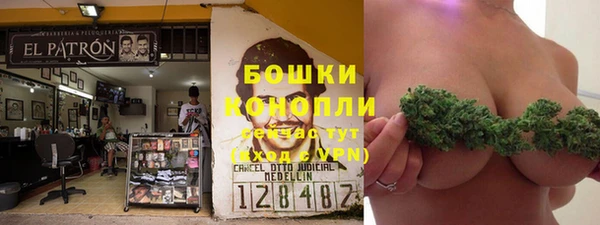 твердый Аркадак