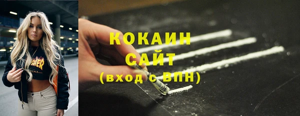 твердый Аркадак