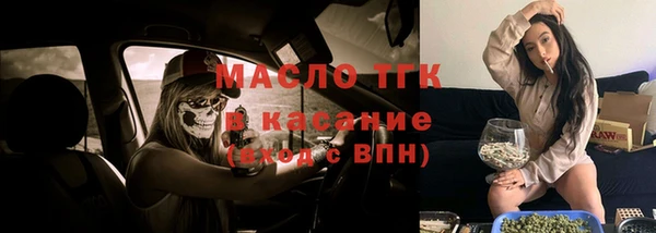 твердый Аркадак