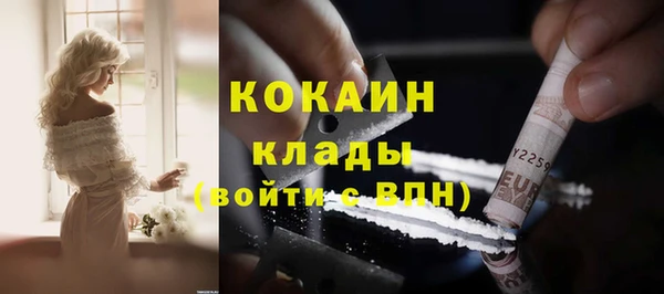 твердый Аркадак