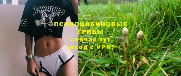твердый Аркадак