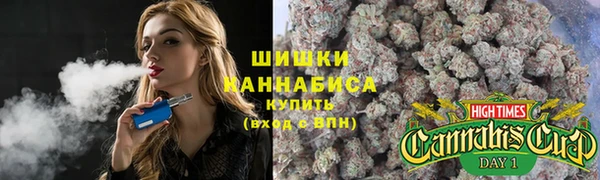 ешки Арсеньев
