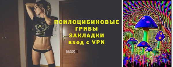 ешки Арсеньев